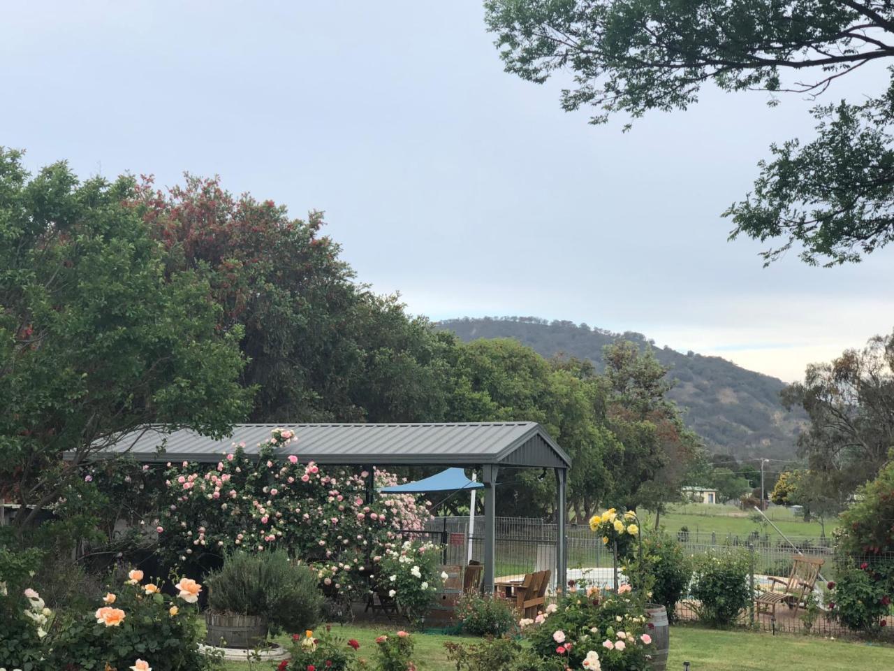 Valley View Motel Murrurundi Екстер'єр фото